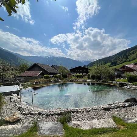 Appartement Alte Schmiede Dorfgastein Exterior foto