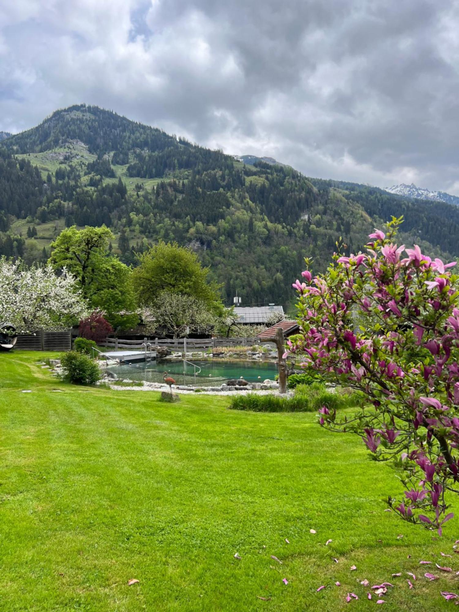 Appartement Alte Schmiede Dorfgastein Exterior foto